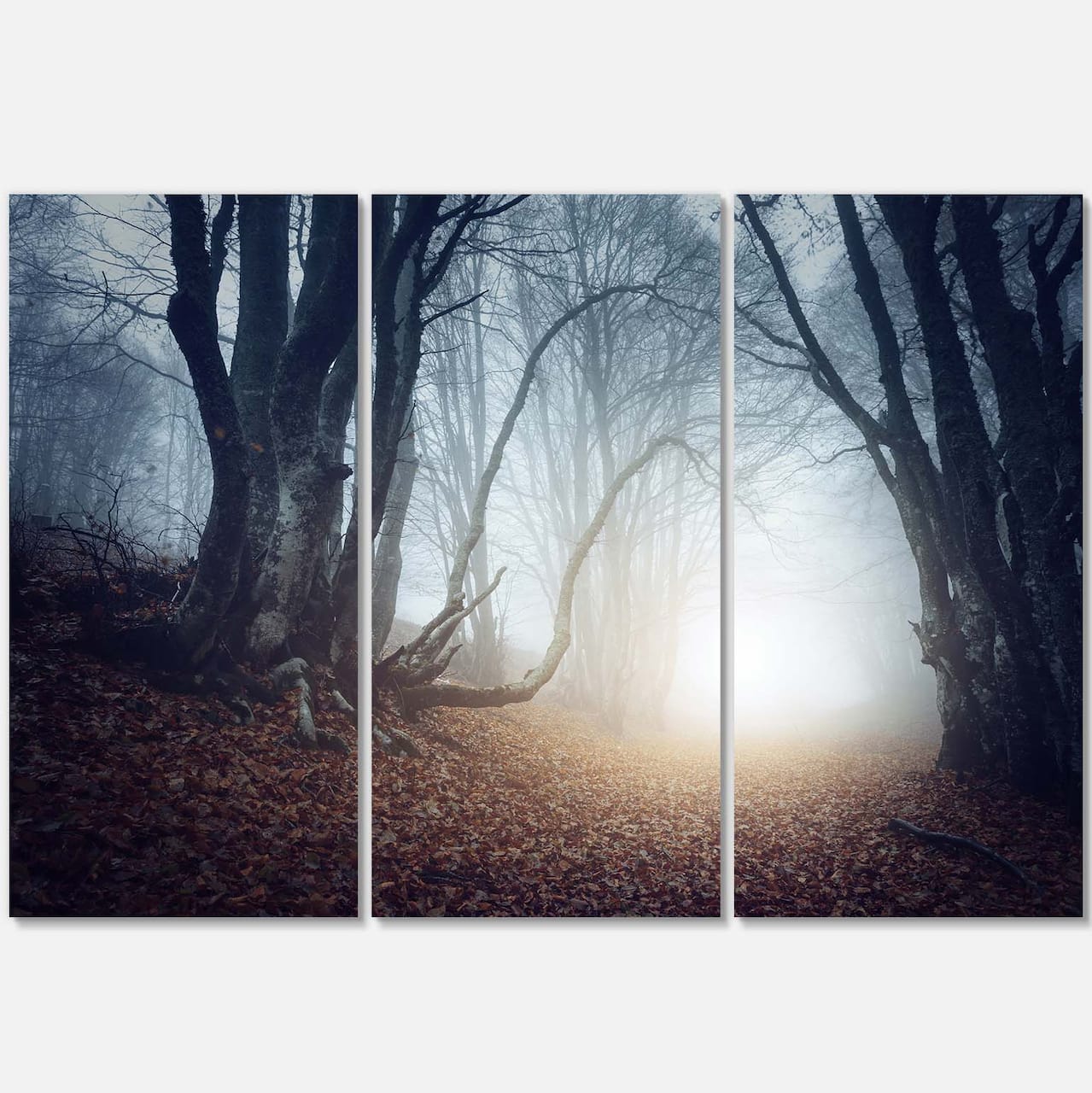 Designart - Magical Trees in Mysterious Forest - Modern Forest Canvas Wall Art
